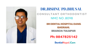 Dental Tree Nepal Dentist